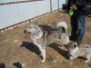 DSCN2579.JPG