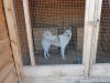 DSCN2558.JPG