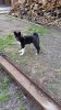 20170429_182810.jpg