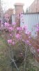 IMG-20170430-WA0040.jpeg