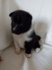 IMG-20170430-WA0021.jpg