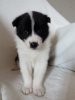IMG-20170430-WA0018.jpg