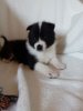IMG-20170430-WA0025.jpg