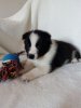 IMG-20170430-WA0027.jpg