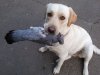 IMG_20120920_181834-1.jpg
