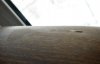 924804277 rjg.JPG