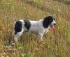 IMG_1716.jpg
