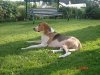 DSC07585.JPG