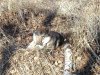 IMG_20170429_083300.jpg
