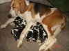 DSC07771.JPG