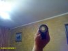 IMG_20170426_210001.jpg