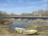 весна Чилино 2017 026.jpg