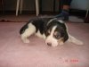 DSC07802.JPG