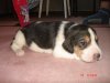 DSC07803.JPG