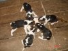 DSC07807.JPG