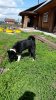 20170525_104616.jpg
