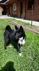 20170525_104637.jpg