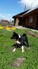 20170525_103821.jpg