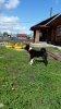 20170525_104059.jpg