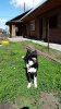20170525_103704.jpg