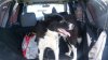 20170529_144837.jpg