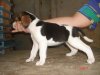 DSC07830.JPG