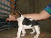 DSC07832.JPG