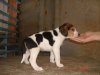 DSC07828.JPG