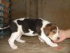 DSC07826.JPG