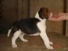 DSC07825.JPG
