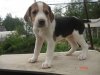 DSC07852.JPG