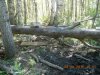 DSCN1435.JPG