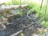DSCN1436.JPG