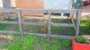 20170617_185156.jpg