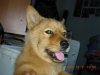 DSCN9637.JPG