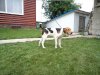 DSC02229.JPG