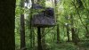 DSC09420-восстановлено (2).jpg