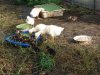 20170625_080519.jpg