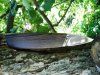 DSC07735.JPG