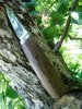 DSC07744.JPG