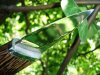 DSC07757.JPG