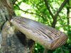 DSC07748.JPG