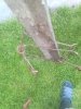 IMG_20170707_202526.jpg