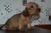 DSC_0784.JPG