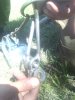 IMG_20170708_154617.jpg