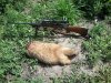 20170711_135424.jpg