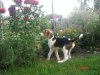 DSC07934.JPG