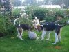 DSC07937.JPG