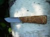 DSC07782.JPG