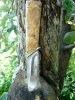 DSC07787.JPG